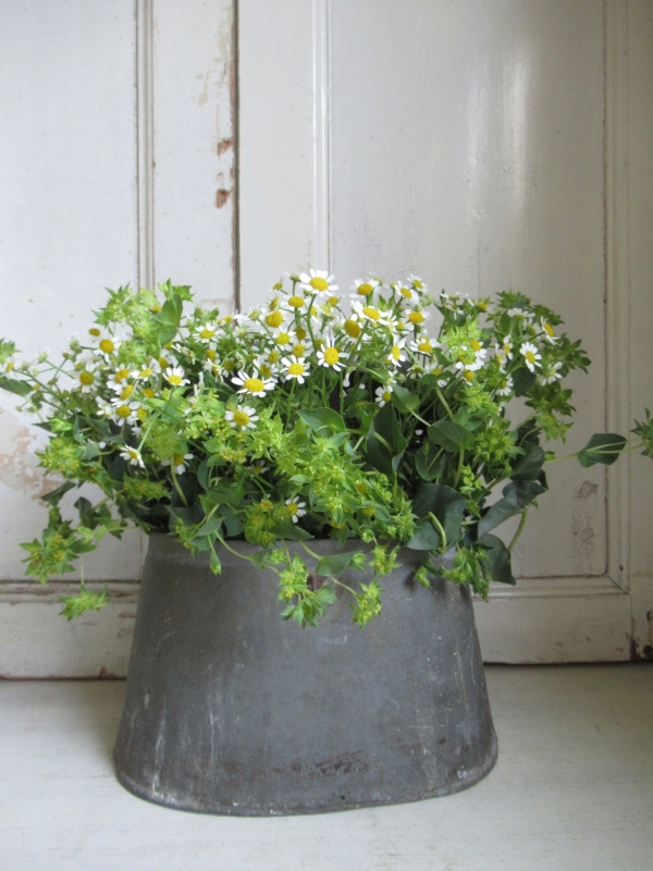 oude Franse zinken aasemmer