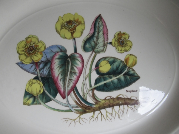 serveerschaal, Wedgwood, Florabunda - Afbeelding 2